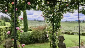 Chianti villa with view, A/C, infinity pool, wifi - Image 4