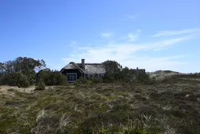 Idyllic summer house by the North Sea with spa - Image 2