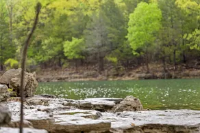 Coaster Views-SDC 2mi-Lake-Indian Point-Ozarks - Image 4