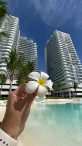 1BR-MonteCarloBliss by The Bali Corner at Azure North, 25th Floor, Full view of Beach Resort Amenities - Image 5