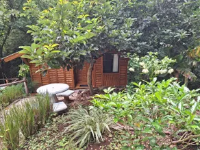 Guayacanes Ecotourism - Image 3