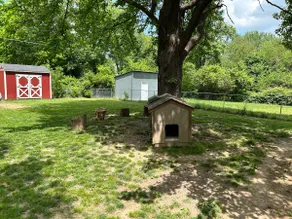 Fur Babies Welcome! - Image 2