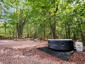 The Red House -Tobyhanna State Park in backyard - Image 5