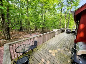 The Red House -Tobyhanna State Park in backyard - Image 4