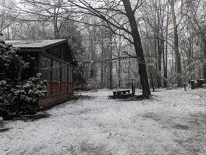 Retreat in the Woods - Image 3