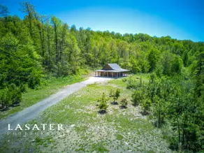 Big Woods Cabin-Pelsor AR - Image 3
