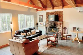 1 Acre of Pines with Record Player, Fireplace - Image 4