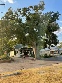 Oak Haven - Image 2