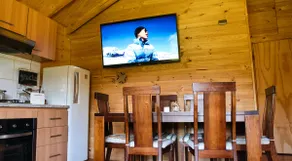 Cabin in Puelo near Termas del Sol - Image 3