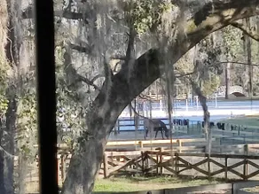 Dreamy Studio in The Heart of Horse Country - Image 2