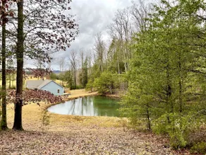 Adventure Cabin w/ Pond Near Gorge, Gauley & Lake - Image 3