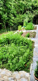 Amazing Views! Nature 3 Porches Wi-fi Secluded .5mi to downtown dine/shop - Image 5