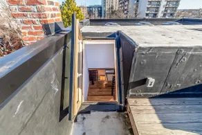 Urban Paradise (with a Surprise inside!) - Image 5