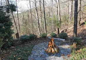 Couples Cozy Cabin - Image 2