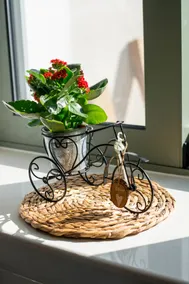 Anassa Mountain House - Image 4