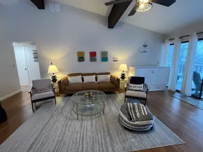 Newly Remodeled Mid-Century Modern Lake Condo - Image 4