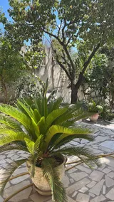 ”La Maison Bleue” between Land and Sea - Image 3