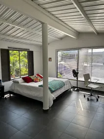 La Casita - Coffee land scape - Image 4