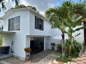 La Casita - Coffee land scape - Image 2