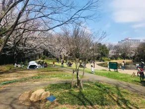 Apartment in Tsuzuki-Ku (Newly Built) - Image 2