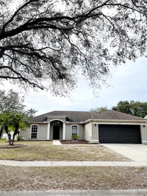 Entire house in Tampa w/ Heated POOL! - Image 2