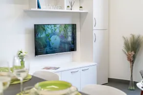 [Super Central, Ariston] Green Home GHM - Image 5