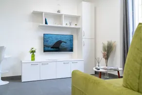 [Super Central, Ariston] Green Home GHM - Image 4