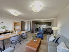 Modern 3 bedroom rental unit - Image 2