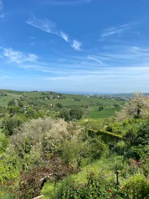 Via Verdi 14 - Image 3