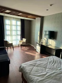 Luxury and Economic Premium Suite - Image 5