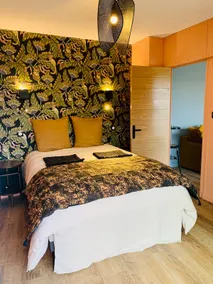 Heart of Saintes 4* 4 people - Facing Charente - Air conditioning - Image 3