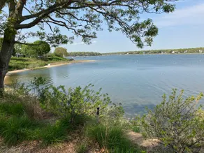 Cozy East Falmouth Cape House, close to beaches, shopping and dining! - Image 5