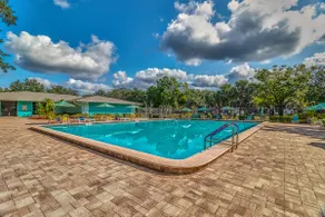 The Palm Harbor Cottage - Image 2