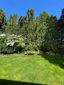 Charming single level updated home~Centrally located - Image 3