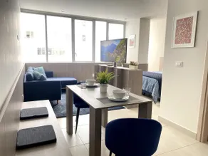 Luxury Loft Condominium Carso - Image 2