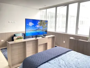 Luxury Loft Condominium Carso - Image 4