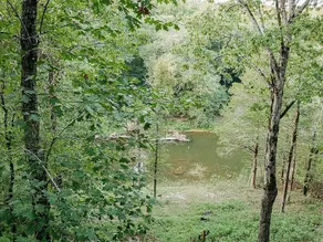 Pearl's Hideaway -Cadron Creek - Image 4