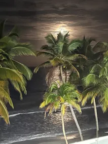 Sleep with the sounds of the ocean waves! - Image 3