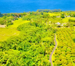 Estate Penthouse • Ocean Views • Waterfall Access - Image 5