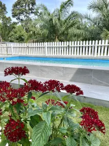 The Little Cottage, Ijok - Image 5