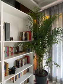 Deer Park View | Remote Work Oasis - Image 4