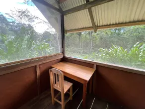 Jungle Cabin Mayan Experience - Near Palenque Site - Image 4
