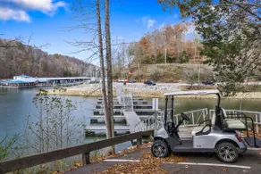 Lake/Marina Access, Firepit, Golf Cart Included - Image 3