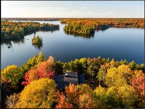 Luxury Meets Nature at WoodLake - Starlink WiFi - Image 2
