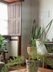 Casa La Encarnación - Image 3