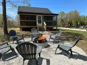 Deer View - Image 3