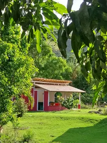 Akasha Atelier, Sana. Carambola Suite - Image 2