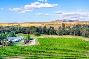 Broke in the Vines - farm stay! - Image 5