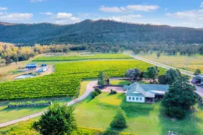 Broke in the Vines - farm stay! - Image 4
