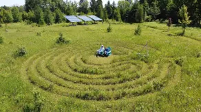 Forest Getaway - Image 5